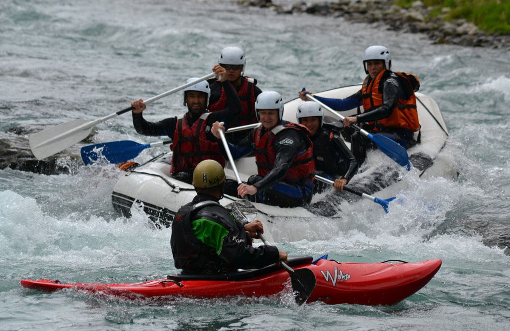 RAPIDE DU GAVE MONITEUR EN SURVEILLANCE