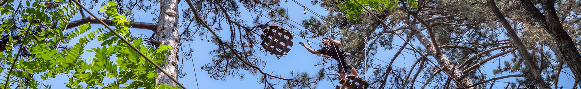 Parc acrobatique Chlorofil Parc acrobatique Chlorofil
