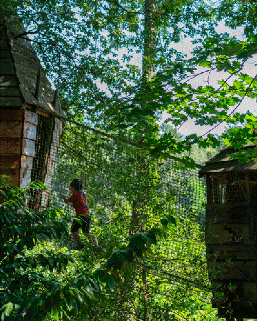 bois-des-pirates-activite-chlorofil-parc